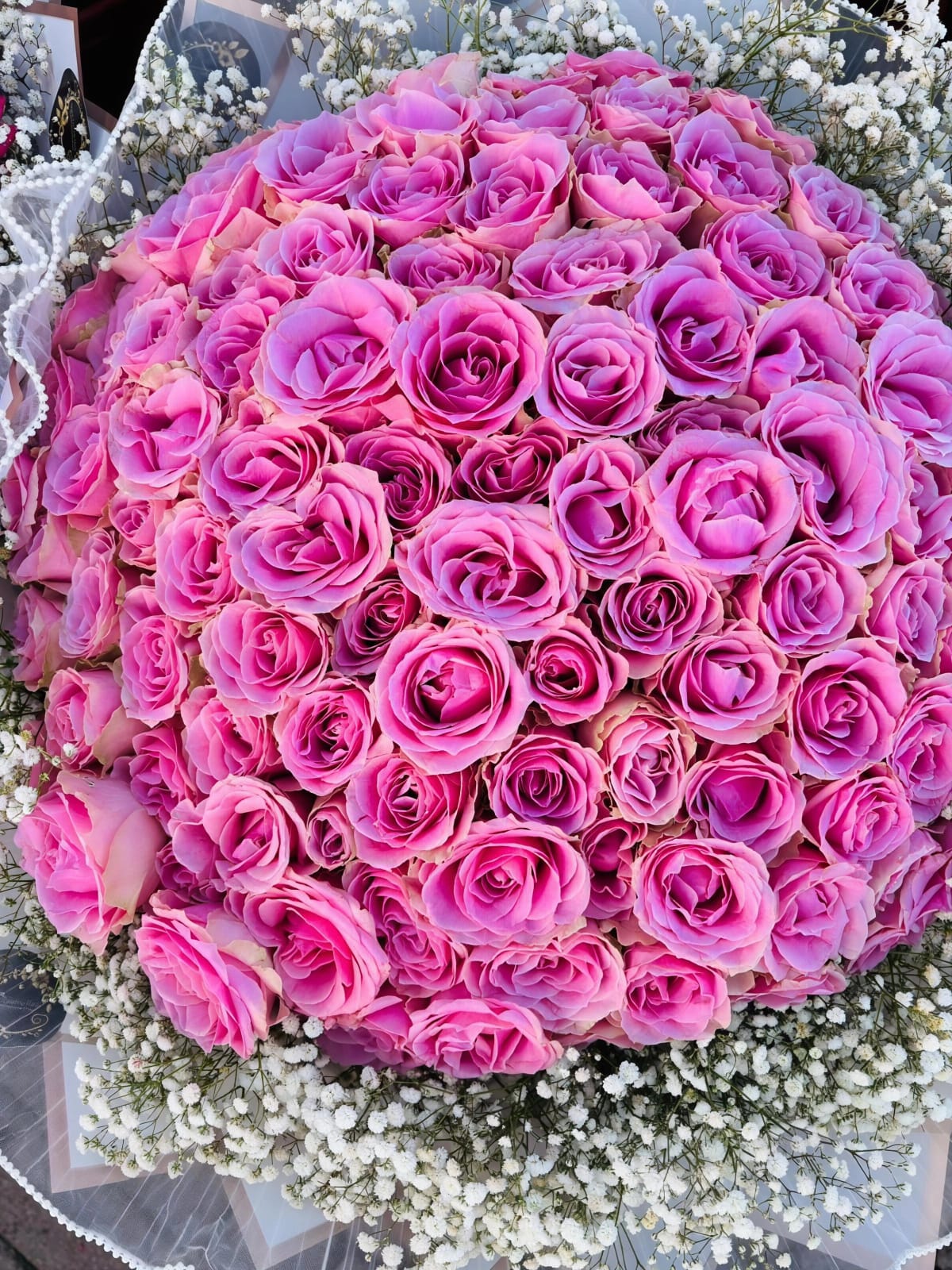 Blush Pink Rose Dome